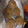 El cooksnap de Aina Ramirez Nicolas cuando hizo Cookies de chocolate.