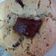 El cooksnap de Thais Arias Barreto cuando hizo Galletas estilo new york o galletas con chocolate Nutella.