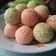 Cooksnap dari Hana Tirtana untuk resep Onde Onde Pelangi