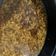 Ryan Wu 的 魯肉燥 cooksnap