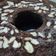 Cooksnap dari yofa yolanda gucita untuk resep Bolu Coklat (resep brownies ny.liem)