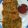 Kusum Parmar's cooksnap of when they made Kodo millet vegetable pancake.