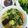 Nguyễn Thuỵ Chi Anh's cooksnap of when they made Bún riêu cua.