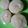 Cooksnap dari Yaroh Alzein untuk resep Pukis