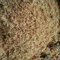 Cooksnap dari Levana Mikhayla Whynessa untuk resep Serundeng Kelapa