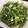 小婕的媽 的 《好菜網》辣炒空心菜 cooksnap
