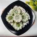 Cooksnap dari Dian Ummu Hasbi untuk resep Kue Lumpang khas Palembang
