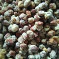 Cooksnap dari Yuni pujangga untuk resep Kacang telur gurih