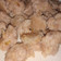 Cooksnap dari Laila Rahmalillah untuk resep Siomay Ayam Devina Hermawan