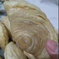 Cooksnap dari Karnita Nita untuk resep Chicken Curry Puff (Karipap Pusing)