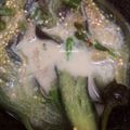 Cooksnap dari Elisa Puspita untuk resep Pecak terong kuah santan (#pr_olahanterong)