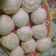 Cooksnap dari Siti Zuhdiyatul Husna untuk resep Bakpao simple isi mesis