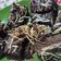 Cooksnap dari Riska Marliana untuk resep Cookies Brownies Panggang