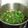 El cooksnap de fretunts cuando hizo Kale con espinacas y tofu.