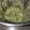 El cooksnap de Piqui cuando hizo Pesto de albahaca 🌿.