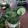 Cooksnap dari Bian's Kitchen untuk resep Lime Mojito