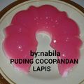 Cooksnap dari nabila Fatahillah Noor Ramadhani untuk resep Puding Cocopandan Lapis