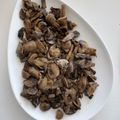 El cooksnap de Sommelier del Asado cuando hizo Hongos salteados a la Indonesa.
