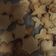 El cooksnap de Emma Pandita cuando hizo Galletas de cardamomo (Galletas de Navidad).