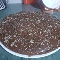 El cooksnap de Sol Galante cuando hizo ...Súper Torta con Harina de Algarroba... 👩‍🍳.