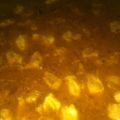 Cooksnap dari G. Setiabudi untuk resep Rawon#kitaberbagi