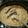 Nick Boardman's cooksnap of when they made Homemade Hamburger Helper - Taco Pasta.