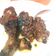 Cooksnap dari Nabila Lystianingtyas untuk resep Ayam Bakar Taliwang
