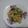 Cooksnap dari Muli Yana untuk resep Oseng Besai / Sawi Putih