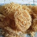 Beenal Sodha's cooksnap of when they made આલુ સેવ (Alu Sev Recipe In Gujarati).