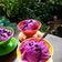 Cooksnap dari Dearesphaty untuk resep Es Cream Buah Naga