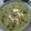 Deepali dake Kulkarni's cooksnap of when they made इम्मुनिटी बूस्टर पालक सूप (Immunity booster palak soup recipe in marathi).