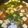賴小孟 的 蕃茄豆腐湯 cooksnap
