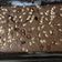 El cooksnap de Valentina Moreno Ramirez cuando hizo Brownies melcochudos de milo.