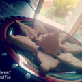 El cooksnap de Cristina Gonzalez cuando hizo Galletas de mantequilla.