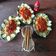 Cooksnap của Lin-lin Nguyễn khi họ làm theo món Mì Ý sốt bò bằm (Spaghetti)