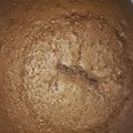 El cooksnap de Adriana Vazquez cuando hizo Bizcochuelo de chocolate 🍫 SÚPER FÁCIL.