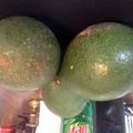 Imhoff Oma's cooksnap of when they made Fresh Guacamole.