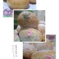 Cooksnap dari Indah Ahsanti untuk resep Bomboloni / donat