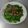 潘俊霖的(簡單料理) 的 小魚乾炒山蘇 cooksnap