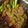 Asha Sharma's cooksnap of when they made Baigan bharta.
