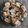 Cooksnap de PaulineB sur la recette Petits wraps au saumon et roquette