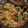 รูป Cooksnap ของ Mo Sorasak เมื่อเขาทำ ไก่สับผัดหน่อไม้ดอง
