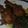 Iiyah Mwithi's cooksnap of when they made Boiled chicken.