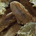 Cooksnap Dapur Yusfarisyia semasa beliau membuat Pisang goreng.