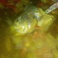 Cooksnap dari Imelzda Fransiska untuk resep Asem-asem ikan bandeng sederhana