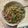 Lisa's cooksnap of when they made Pad Krapow with cabbage.