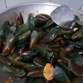 Cooksnap dari septiana nurfitriani untuk resep 24. 🌠Kerang Hijau Saus Tiram 🐚