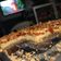 El cooksnap de Esteban (｡♡‿♡｡)( ˘ ³˘)♥ cuando hizo Pastafrola argenta 🤸‍♀️.