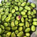 Cooksnap από Sitronella στη συνταγή Ελιές τσακιστές