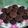 Cooksnap dari siti mutmainah untuk resep COOKIES NUTRIJEL COKLAT #BikinRamadanBerkesan